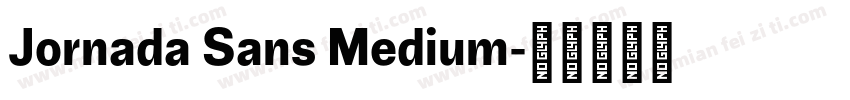 Jornada Sans Medium字体转换